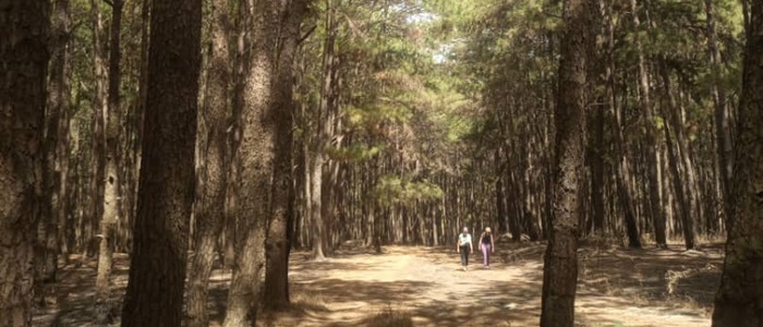 Le Jardin Augustin Chevalier ou Barry Gassimou 
